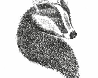 Badger