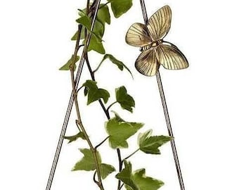 Diamond Hanging Plant Propagation Vase