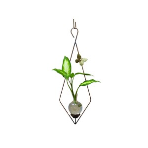 Diamond Hanging Plant Propagation Vase: Copper Finish, Brass Butterfly
