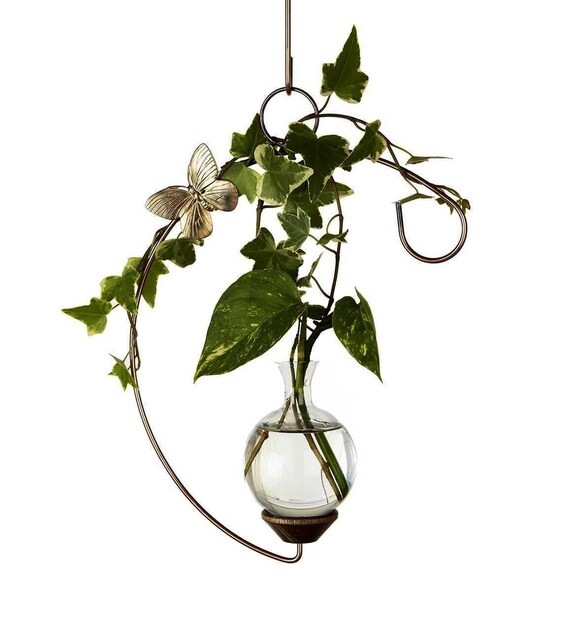 Hanging Plant Propagation Glass Rooter Vase Classic Crescent Etsy