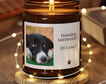 Custom Dog Photo Candle College Freshman Gift Homesick Dorm Room Decor Personalized Pet Picture Candle Care Package Gift Pet Photo Candle