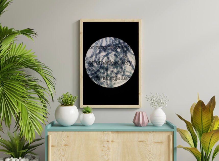 Microscopic Photography of Blue Algae Science Wall Art Digital Print - Etsy