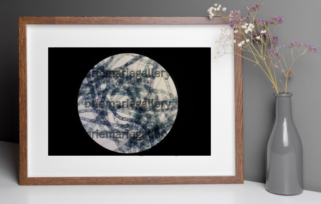 Microscopic Photography of Blue Algae Science Wall Art Digital Print - Etsy