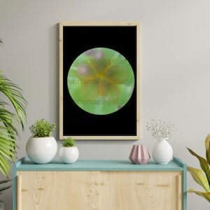 Microscopic Photography of Flower Science Wall Decor, Digital Print