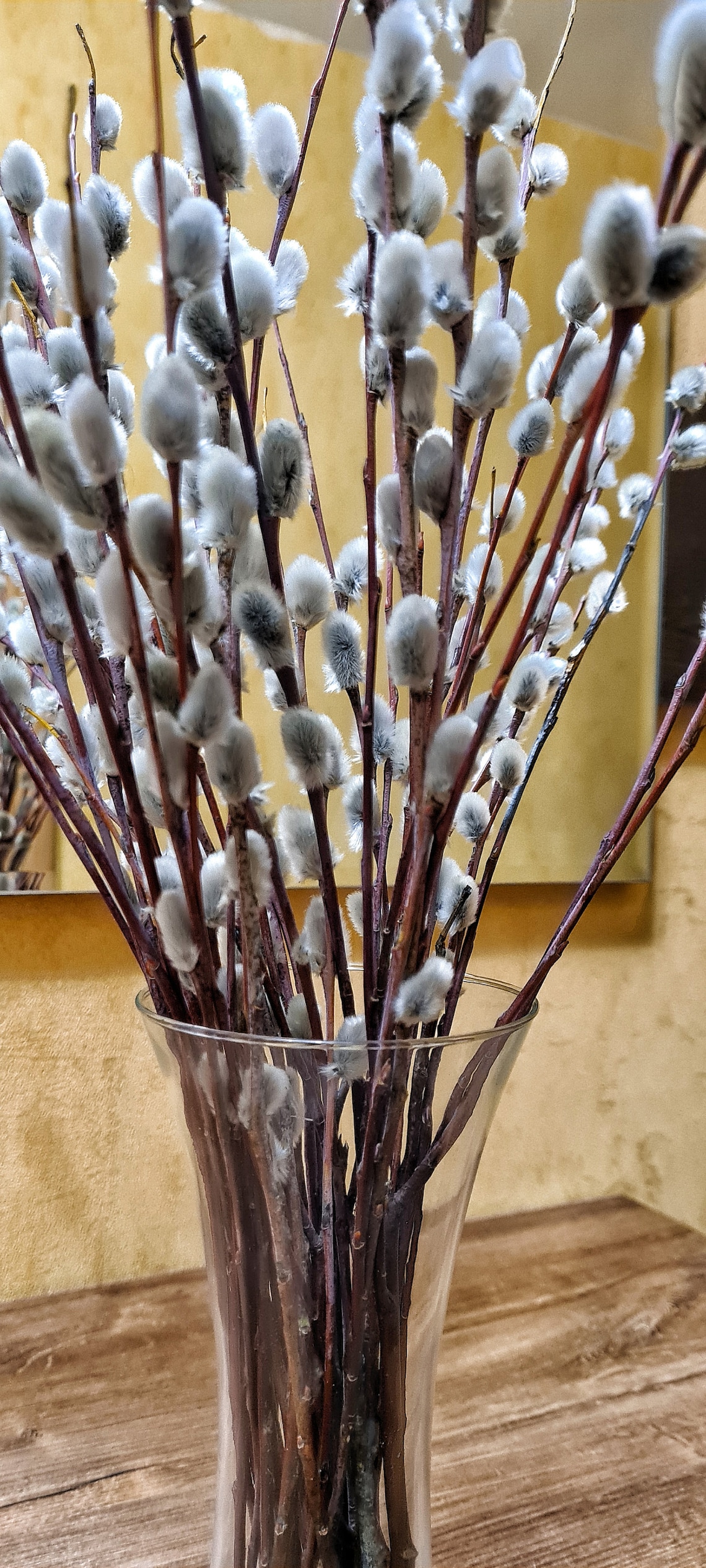 Willow branches Vase filler natural Catkins. Natural dried Etsy