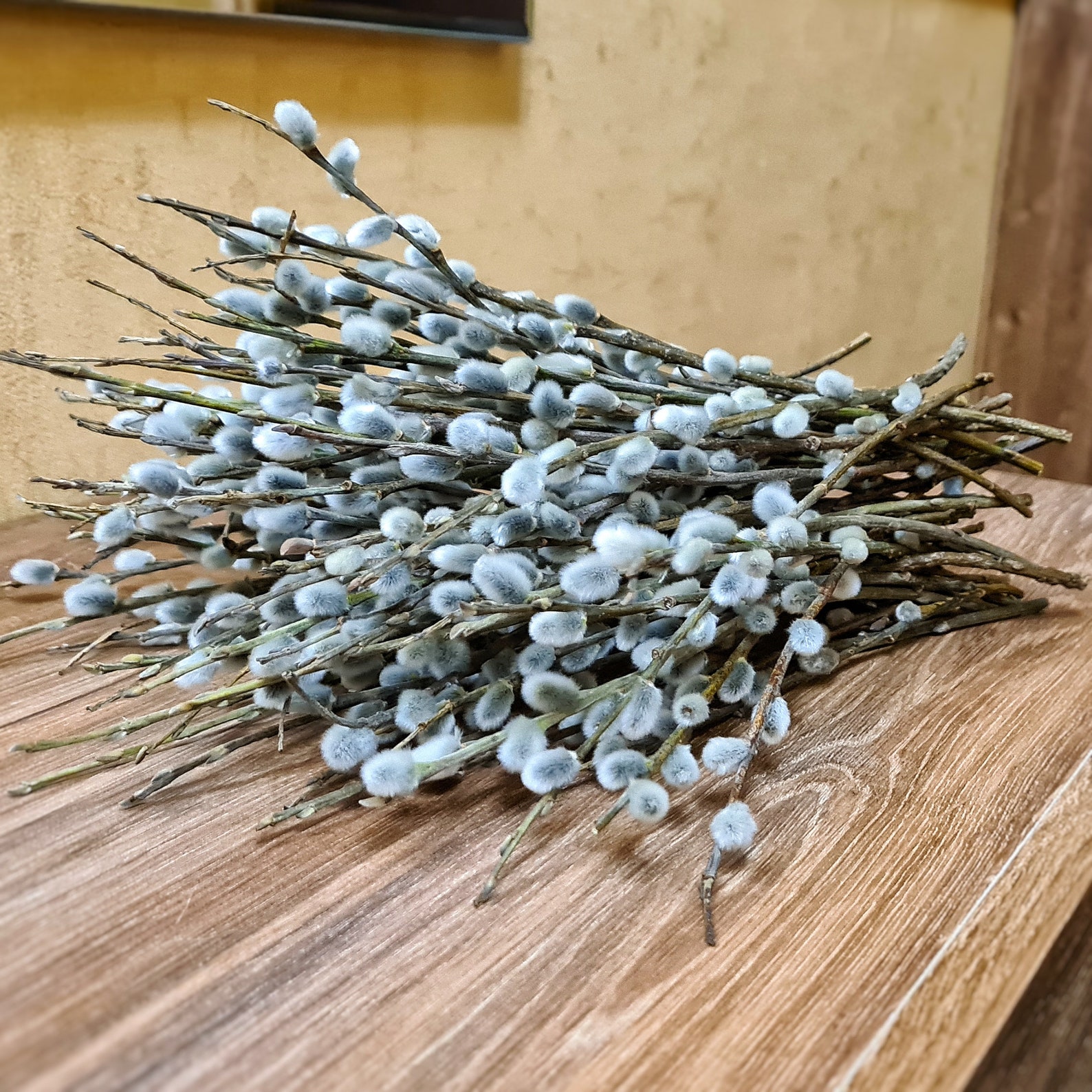 80 Pussy willow branches Vase filler natural Catkins. Natural Etsy