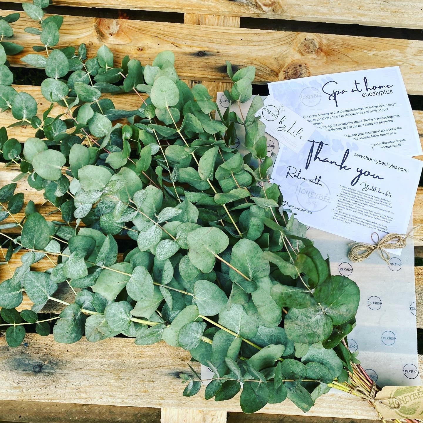 Fresh Eucalyptus shower bundle Eucalyptus shower home spa Etsy