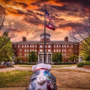 UGA Bulldog Statue at Stormy Sunset Print, University of Georgia Fine Art Photo Poster, gift for students, alumni and fans