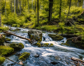 Op de afbeelding: Een klein beekje stroomt door een weelderig groen bos, waterval over met mos bedekte rotsen. Het water is helder en sprankelend, en het zonlicht filtert door de bomen, waardoor een gevlekt effect ontstaat.