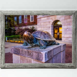 Testudo Statue at Sunrise, University of Maryland Landscape Poster, Fine Art Home Decor, Metal Wall Print, Graduation Gift, Alumni Gift image 5