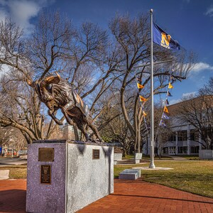 Bill the Goat, US Naval Academy Photo, Fine Art Print, Gift for Students, Alumni and Fans, College Graduation Present, US Military Souvenir