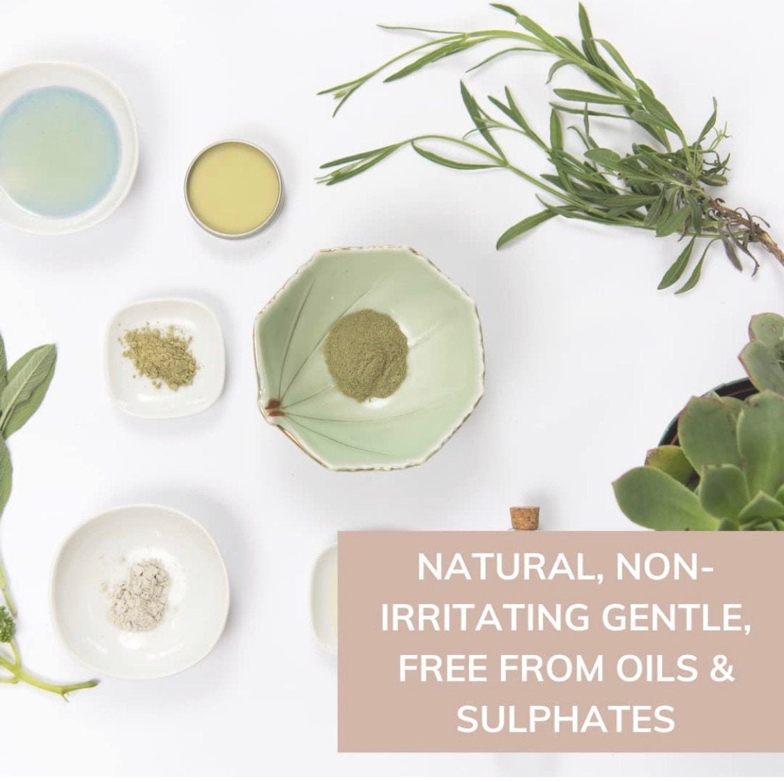 PROLONG Ingredient Labels Etsy