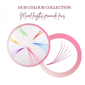 Könnte beinhalten: Nahaufnahme von bunten vorgefertigten Wimpernfächer in einem Kreis, mit einem einzelnen Fächer aus violetten Wimpern in einem separaten Kreis. Der Text "OUR COLOUR COLLECTION Mixed lengths premade fans" befindet sich über dem Bild.