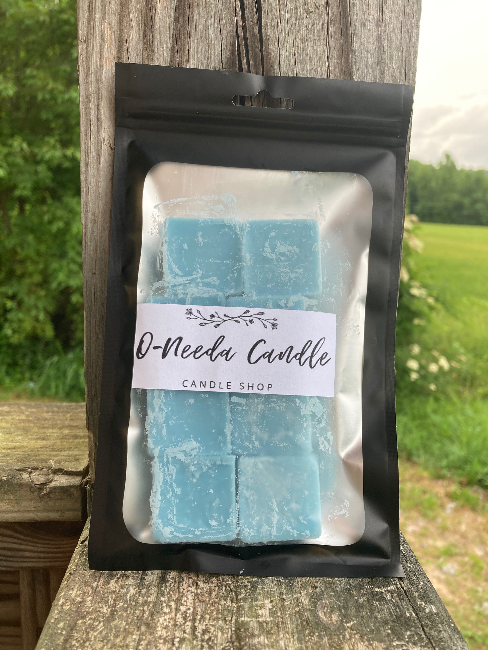 Blue Paradise Wax Melts 8ct Etsy