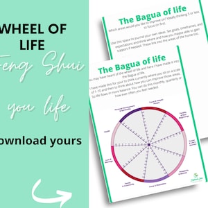 wheel of life- Bagua map