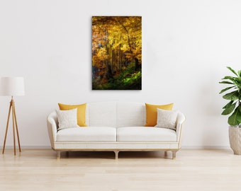 Sunlight in golden forest, canvas photography print