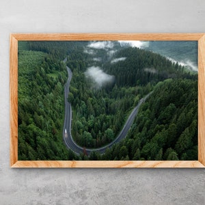 Aerial forest prints, road loop in the forest, travel theme