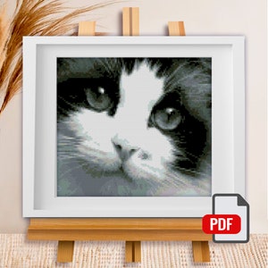 Cross Stitch Pattern &quot;Black-White Cute Cat&quot; DMC Cross Stitch Chart Needlepoint Pattern Embroidery Chart Printable PDF Instant Download