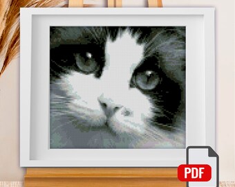 Cross Stitch Pattern "Black-White Cute Cat" DMC Cross Stitch Chart Needlepoint Pattern Embroidery Chart Printable PDF Instant Download