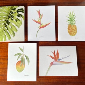 Hawaii Botanical Variety Blank Note Cards - Set of 5. Monstera leaf, Bird of Paradise, Pineapple, Heliconia, Mango. Watercolor Art.