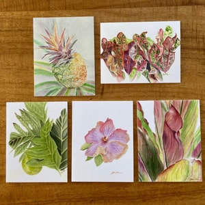 Cartes de correspondance vierges KALAKOA Hawaii Botanical Variety - Lot de 5. Ananas, fruit à pain (Ulu), feuilles de croton, feuilles de ti, hibiscus. Aquarelle.