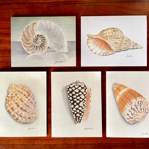 SHELLS Ocean Sea Shell Watercolor Art - Blank Note Card Set of 5