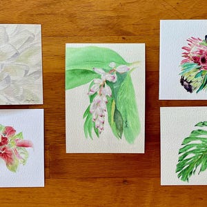 Lot de 5 cartes de correspondance botaniques vierges Hawaï, BOUQUETS et FEUILLES, gingembre en coquillage, bouquet d'anthurium, feuille de Monstera, maman blanche et bouquet de protéa.