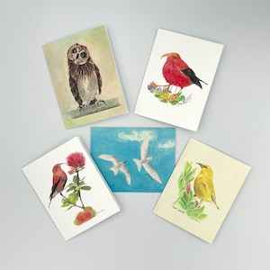 NATIVE HAWAIIAN BIRDS 'Apapane, I'iwi, Pueo, 'Amakihi and Manu o Ku watercolor blank card set