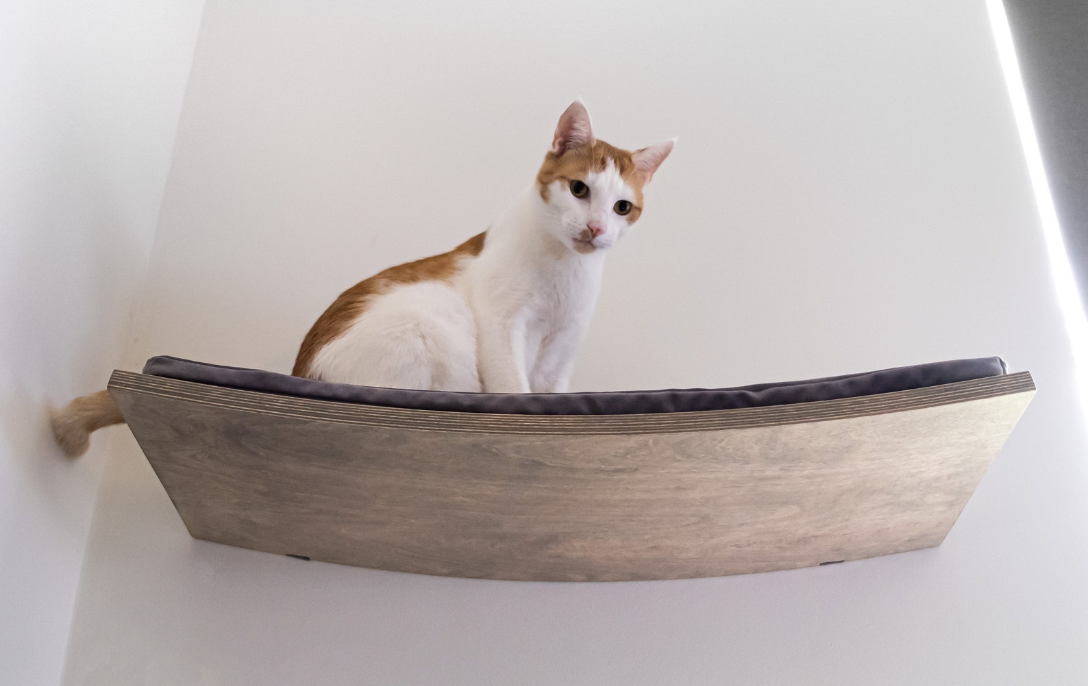 Curved cat shelf High quality cat furniture Etsy
