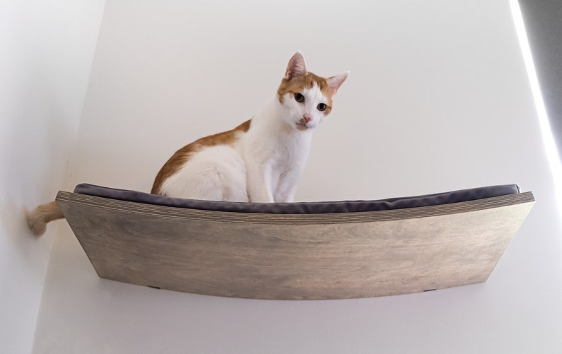 Curved Cat Shelf High Quality Cat Furniture Etsy
