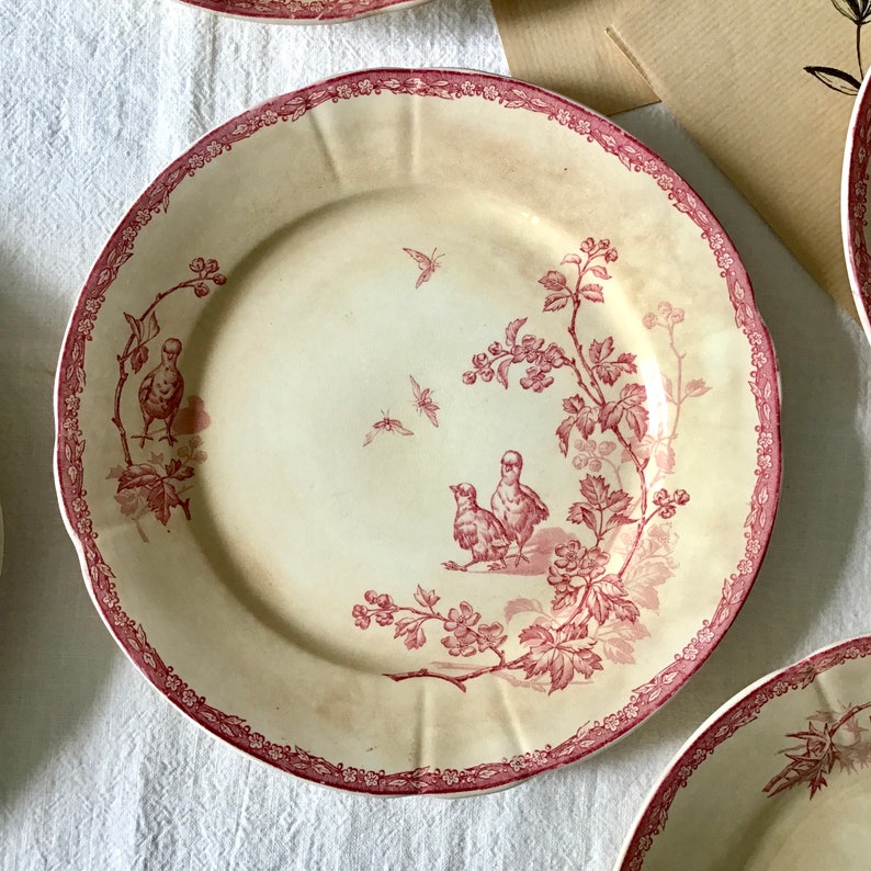 6 superb old iron earth flat plates with relief edge and decoration of pink flowers and birds on a patinated background, Nimy image 4