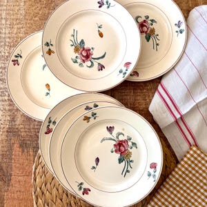 6 old ironstone flat plates with polychrome floral decoration, Longchamp