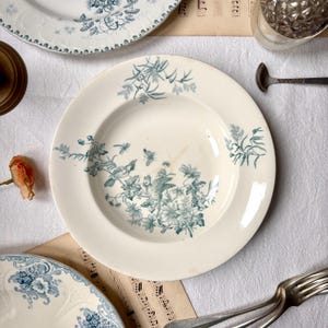 Puede incluir: Un tazón de sopa de cerámica blanca con un diseño floral azul y verde. El tazón tiene un borde ancho y un pozo profundo. El diseño floral presenta flores y hojas delicadas.