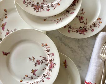6 antique white porcelain flat plates, with polychrome floral and butterfly decoration, fine Limoges porcelain.