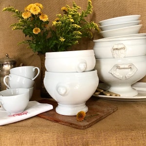 2 vintage salad bowls on foot with lion's head handles, in white porcelain, Apilco