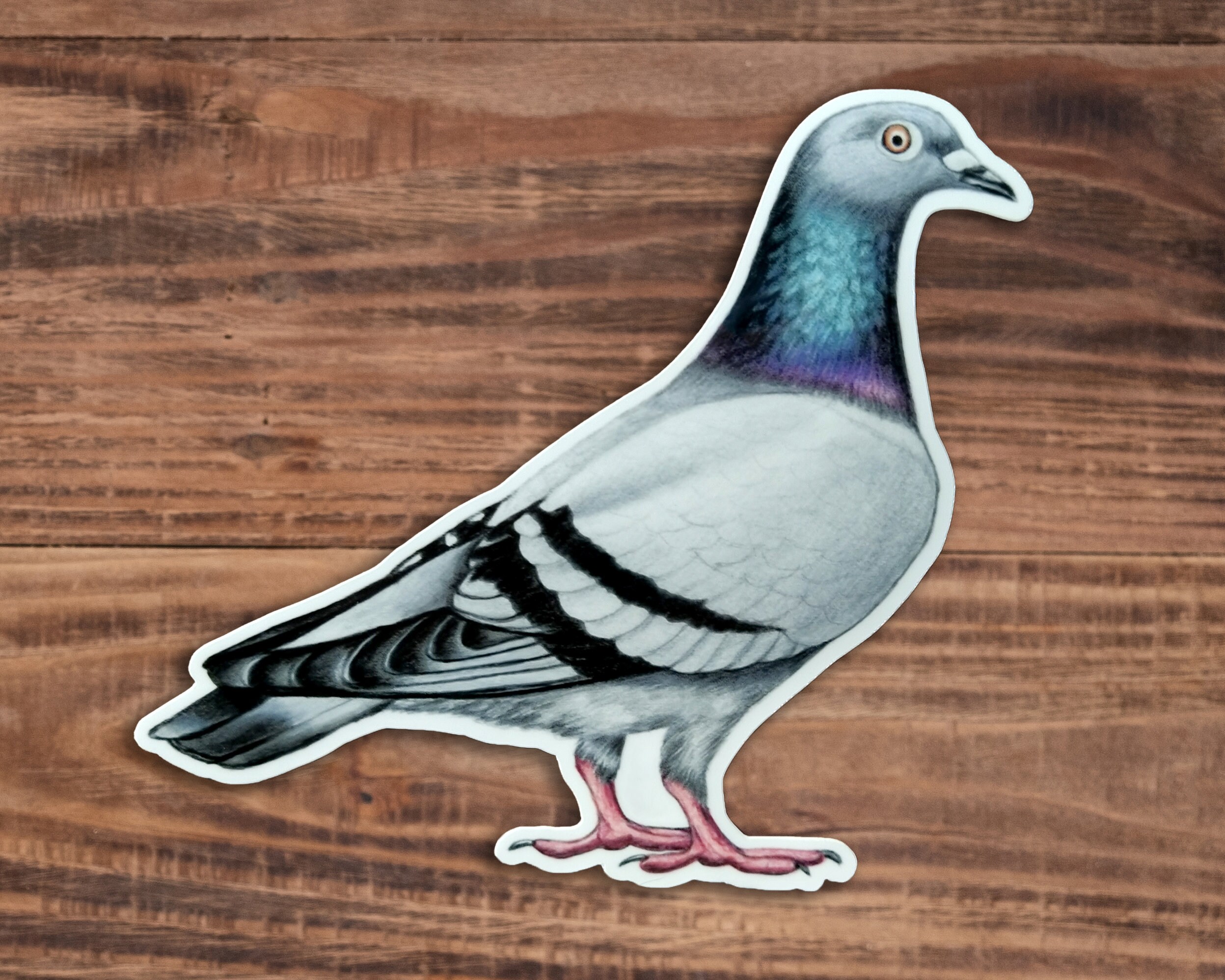 Funky Little Pigeon Sticker for Sale by sillysellsstuff