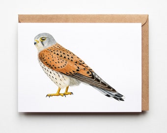 Tarjeta de felicitación Kestrel - Tarjeta Ave de Presa - A6