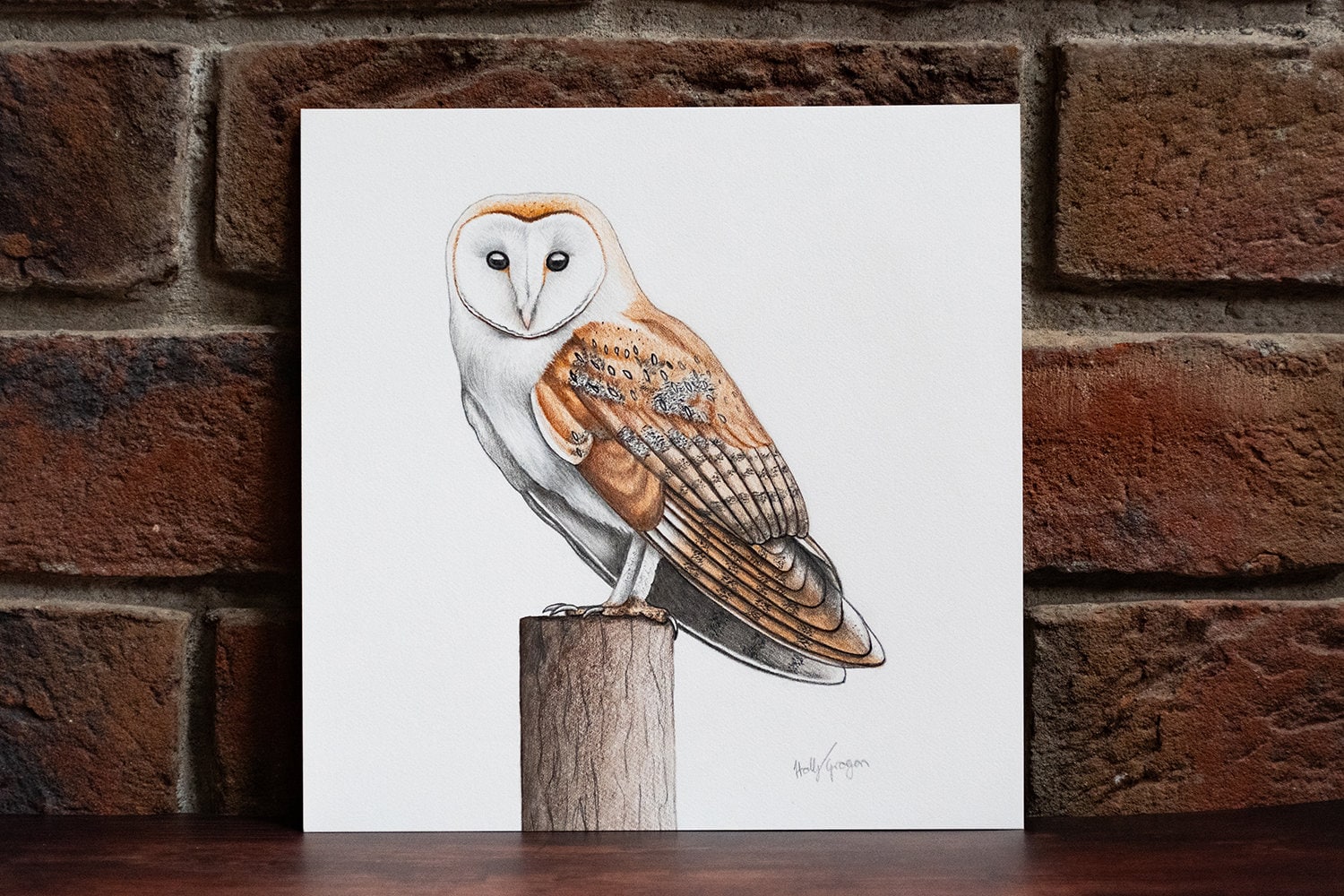 フクロウ色鉛筆画 メンフクロウ - オリジナル色鉛筆画 - 7.5 x 7.5 インチ - Etsy 日本