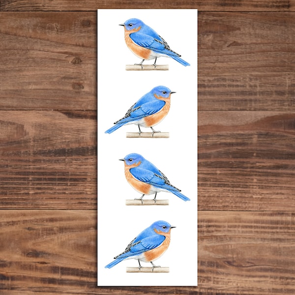 Bluebird Bookmark - Bird Bookmark - Gift for Bird Lover