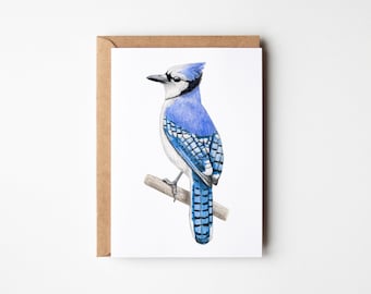 Blue Jay Card - Bird Card - A6