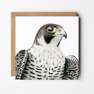 Slechtvalkkaart - Roofvogel Wenskaart