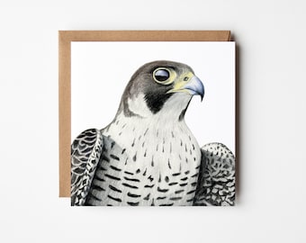Peregrine Falcon Card - Bird of Prey Greeting Card