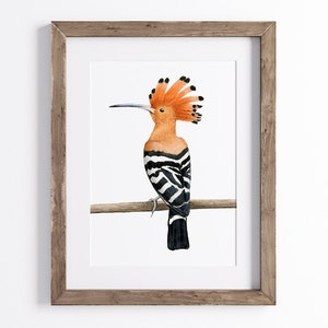 May include: Watercolor painting of a Hoopoe bird perched on a branch, set in a wooden frame. The bird features orange plumage, a distinctive crest, and black and white striped wings. The artwork is displayed against a white background.