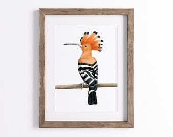 Hoopoe Print - Bird Print - Wildlife Art Print