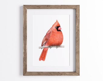 Northern Cardinal Print - Giclée Bird Art Print