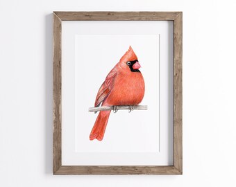 Northern Cardinal Print - Giclée Bird Art Print - UNFRAMED