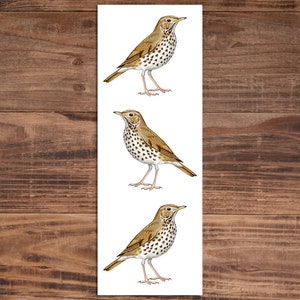 Song Thrush Bookmark - Bird Bookmark - Gift for Bird Lover