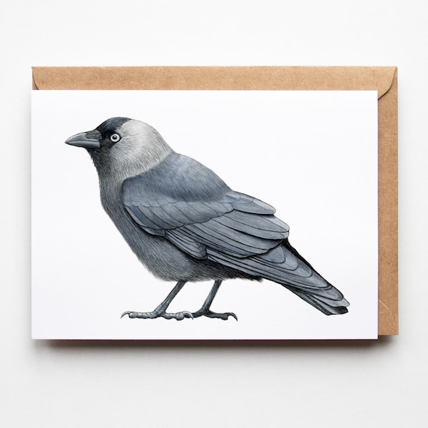 Karta Jackdaw - Karta z pozdrowieniami Crow - A6