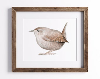 Wren Art Print - Bird Print - Wildlife Drawing Print - Nature Art