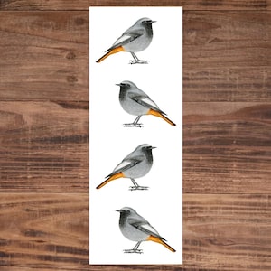 以下が含まれることがあります： 小さな鳥のイラストが4つ描かれた縦長のプリント。各鳥は灰色の羽、黒い頭、白い翼のアクセント、明るいオレンジ色の尾を持っています。鳥は白い背景に止まっており、木製の背景が使われています。